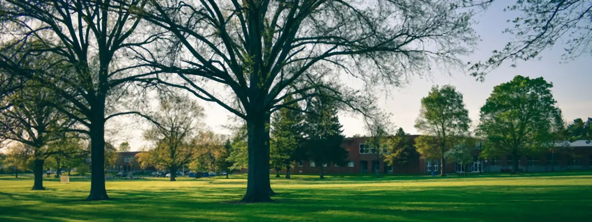 Tall shade trees on a wide green lawn in front of a long, low brick school building
